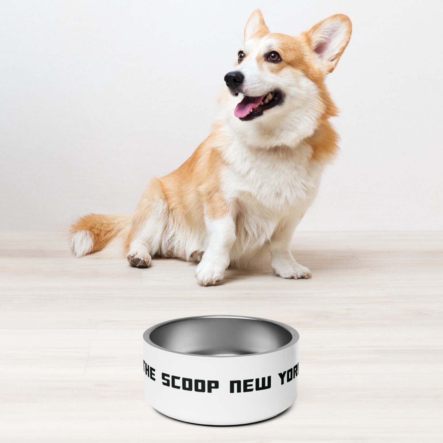 Masthead Pet Bowl